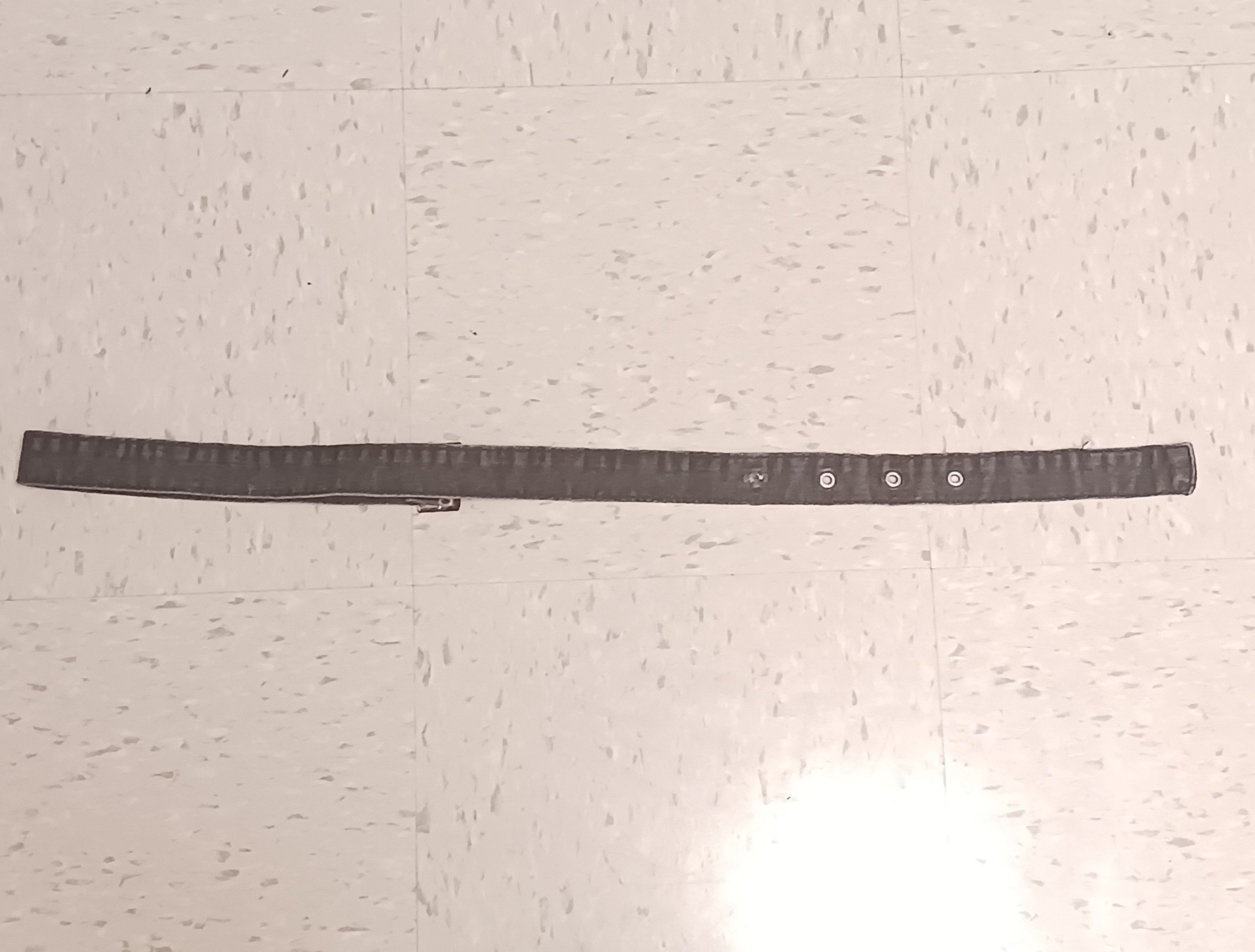 Back of belt that would be used for the circuit